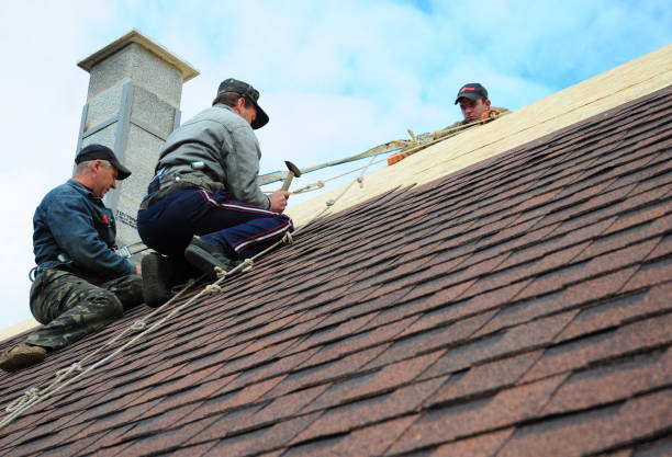 Best Local Roofing Companies  in China Lake Acres, CA